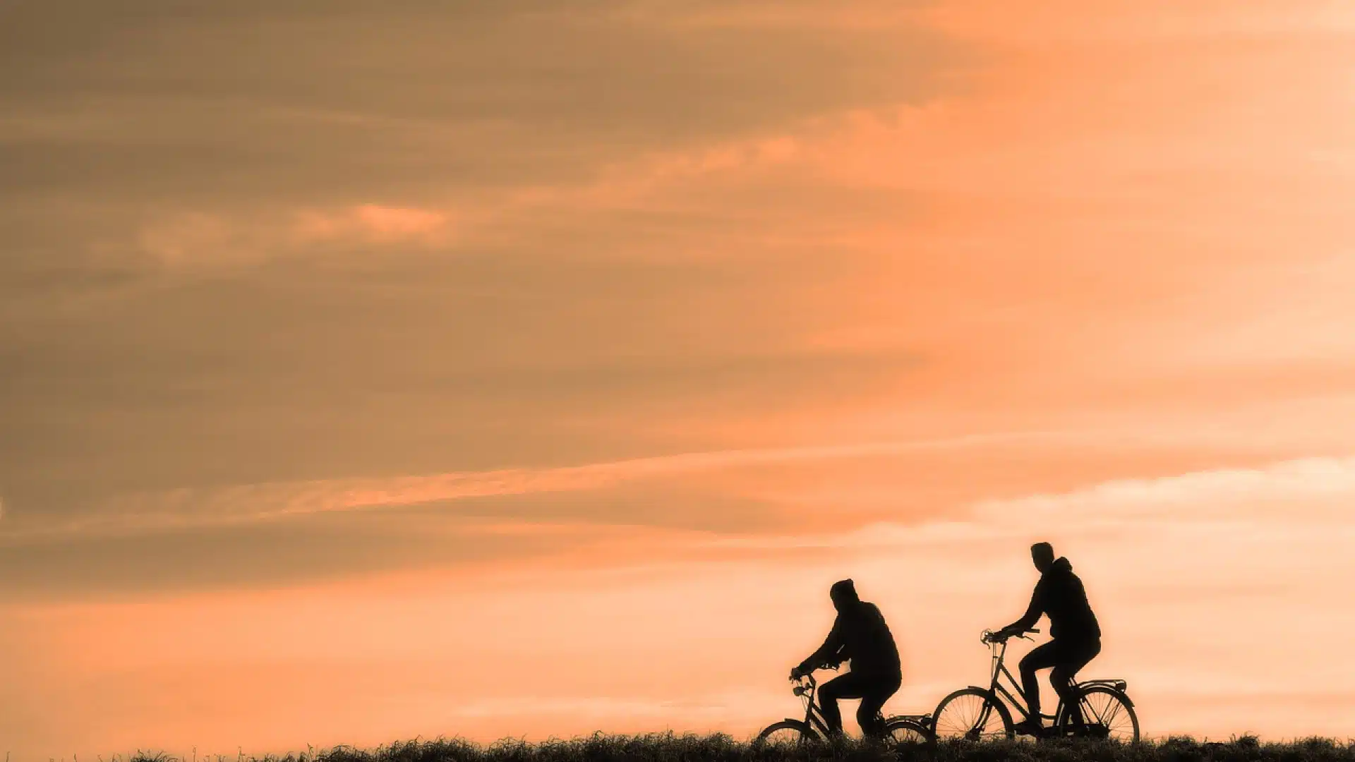 Location de vélos sur l'île d'Oléron : explorez La Brée-les-Bains et ses trésors !